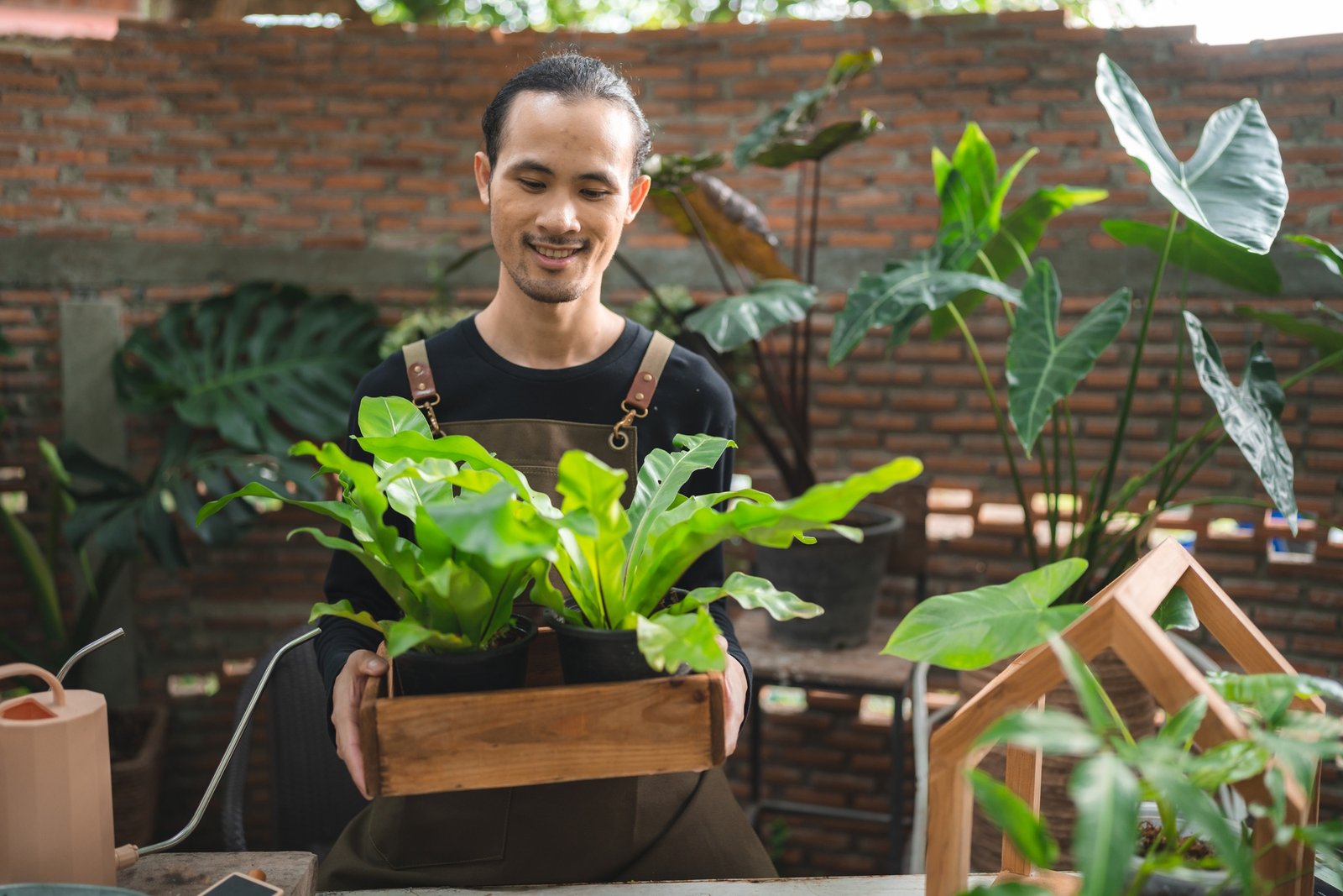 nature plant gardening hobby, happy man person lifestyle with growing flower green leaf